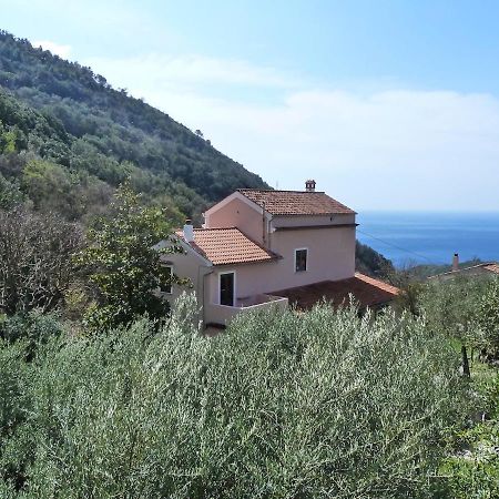 Casa Puccini B&B Маратея Экстерьер фото