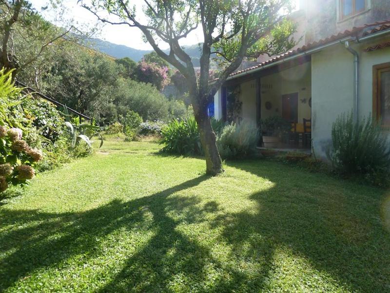 Casa Puccini B&B Маратея Экстерьер фото
