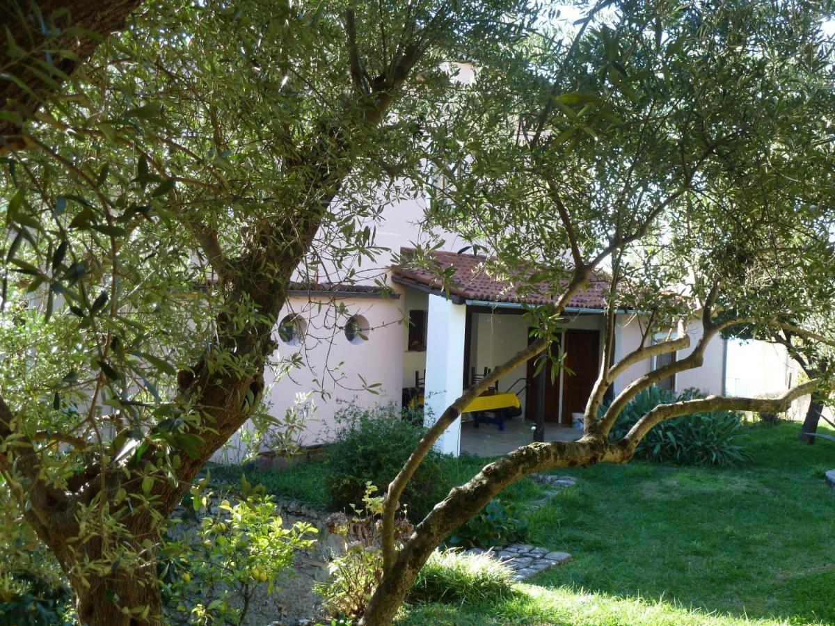 Casa Puccini B&B Маратея Экстерьер фото