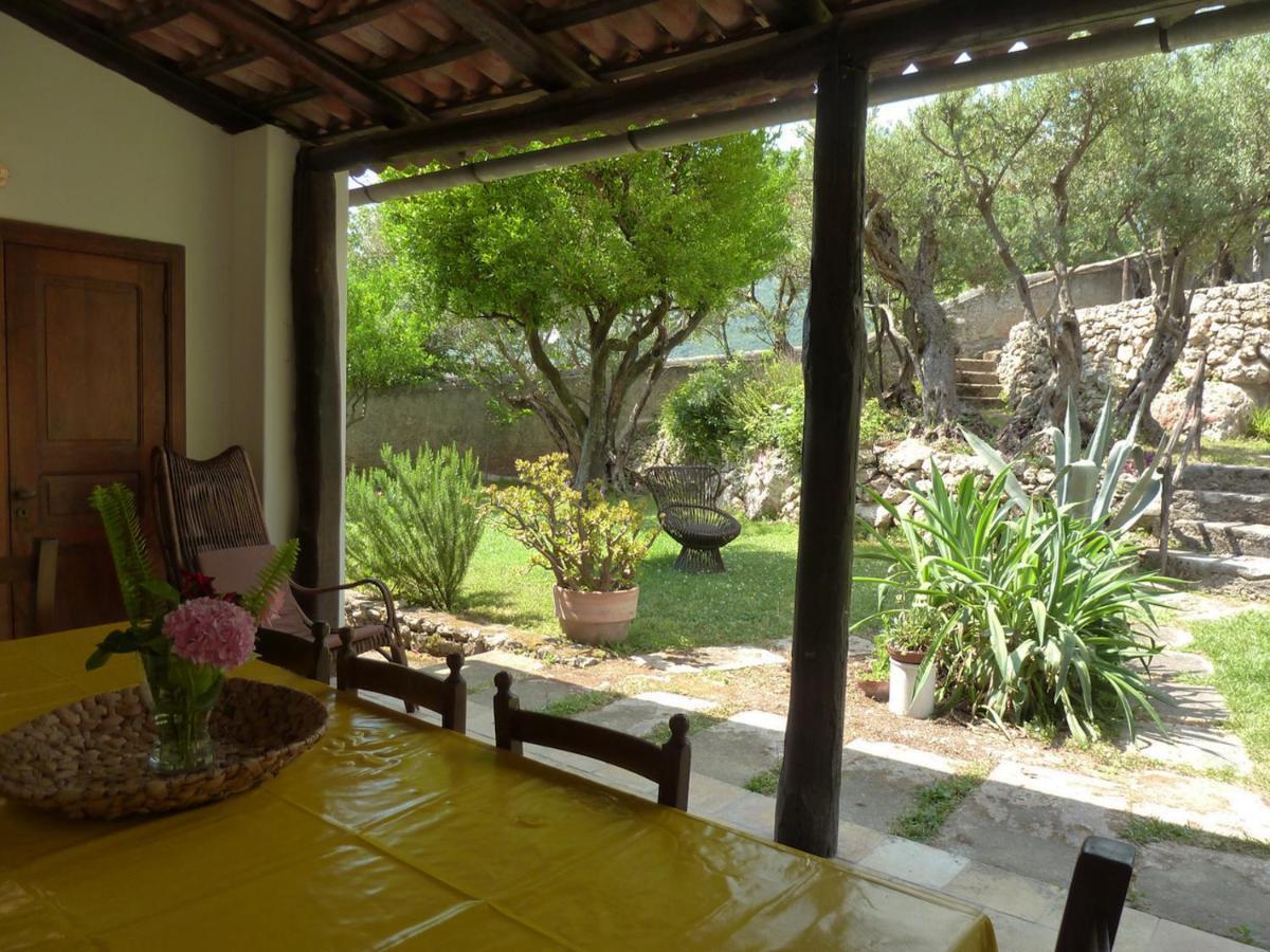 Casa Puccini B&B Маратея Экстерьер фото